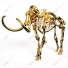 Sculpture de squelette d'éléphant en acier inoxydable