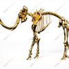 Sculpture de squelette d'éléphant en acier inoxydable