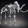 Sculpture de squelette d'éléphant en acier inoxydable